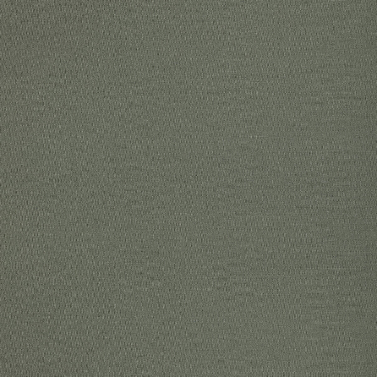 Kemble fabric in fern color - pattern BF11046.775.0 - by G P & J Baker in the Baker House Plain & Stripe II collection