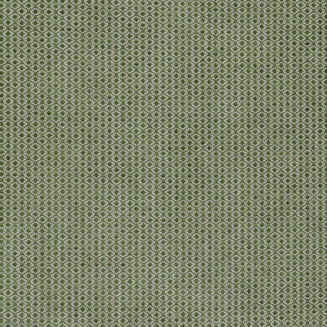 Cosgrove fabric in moss color - pattern BFC-3672.3.0 - by Lee Jofa in the Blithfield collection