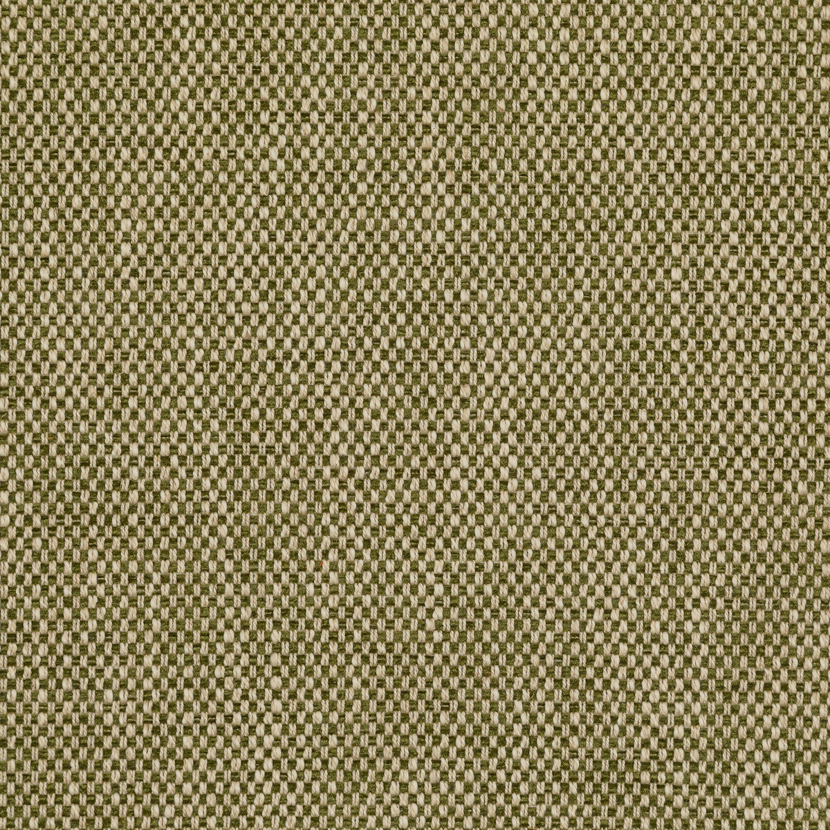 Carlton fabric in moss color - pattern BFC-3692.30.0 - by Lee Jofa in the Blithfield collection