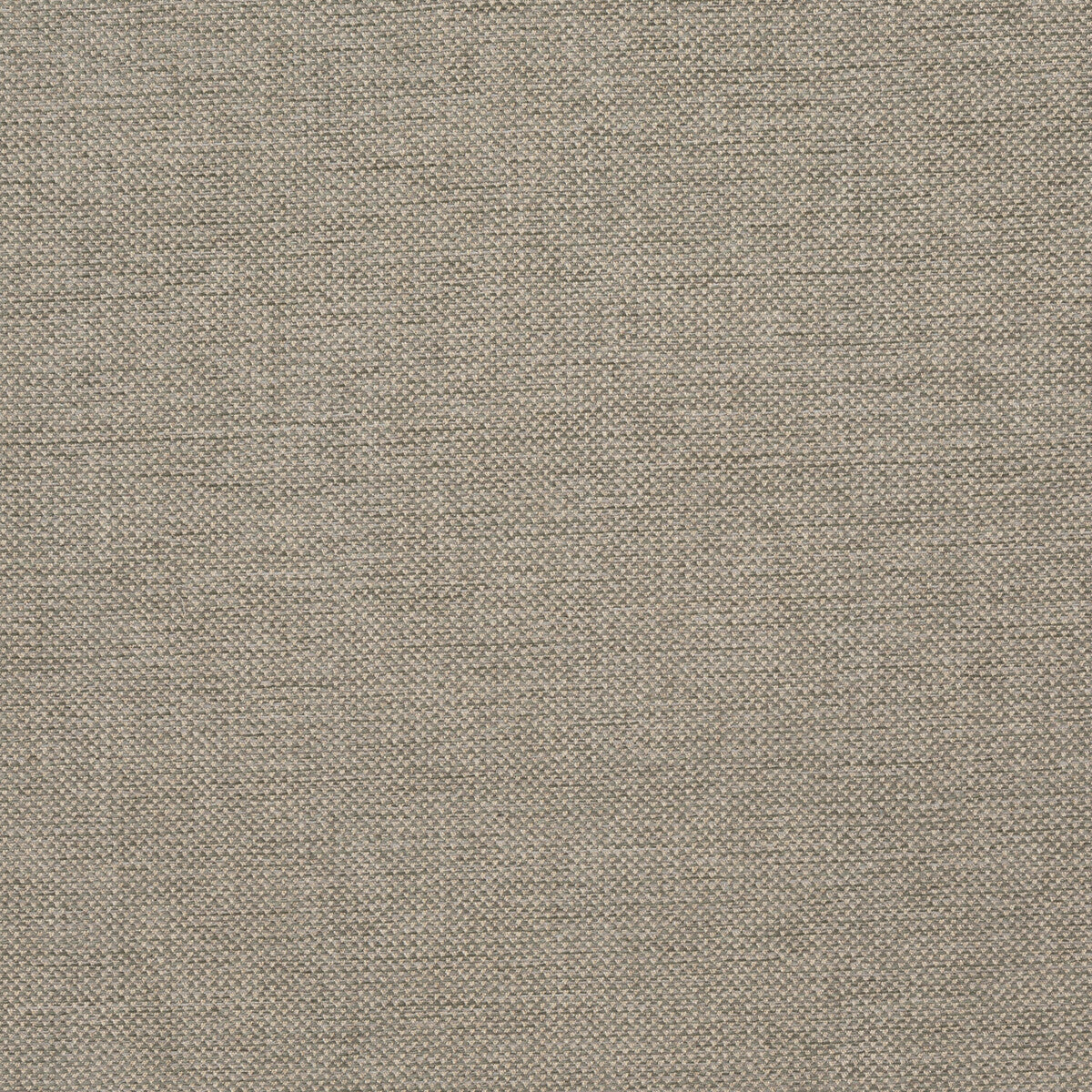 Webster fabric in mist color - pattern BFC-3713.113.0 - by Lee Jofa in the Blithfield Eden collection