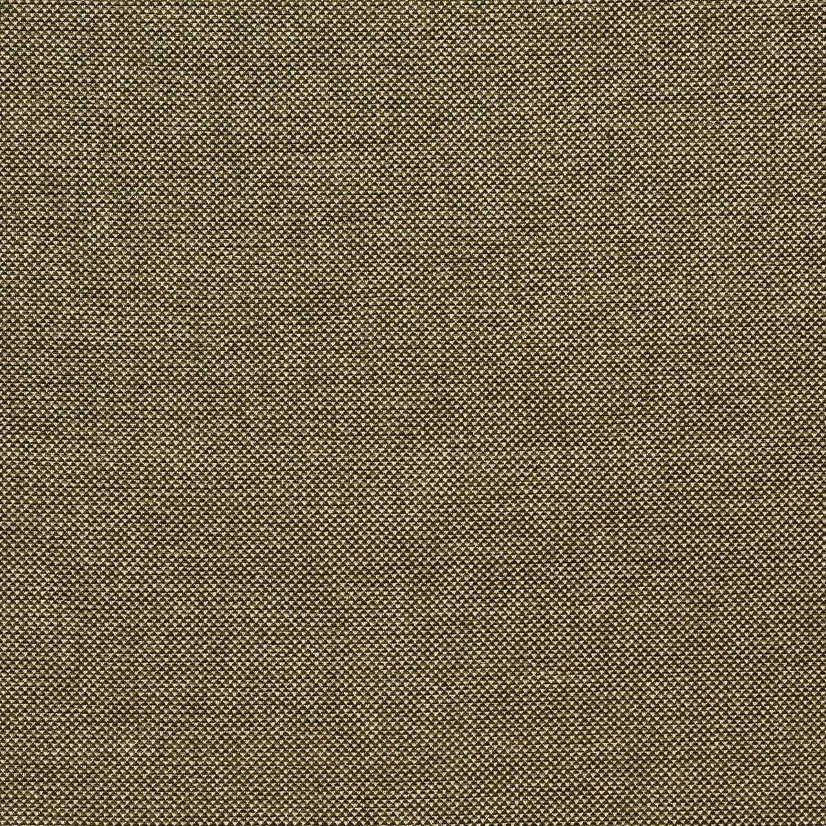 Webster fabric in moss color - pattern BFC-3713.30.0 - by Lee Jofa in the Blithfield Eden collection
