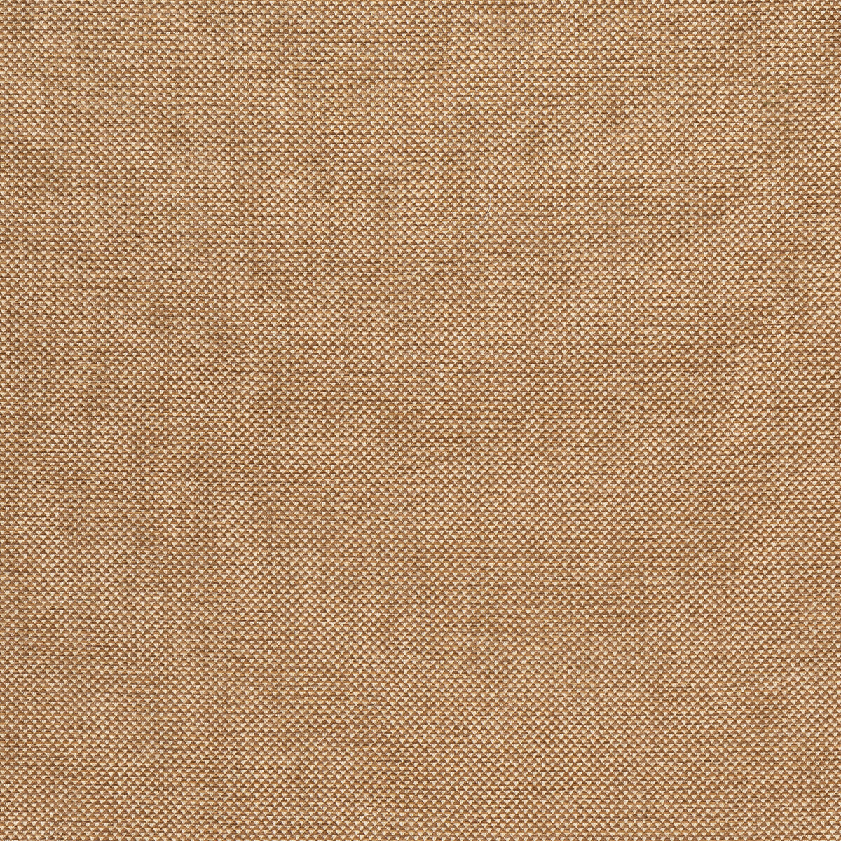 Webster fabric in dune color - pattern BFC-3713.430.0 - by Lee Jofa in the Blithfield Eden collection