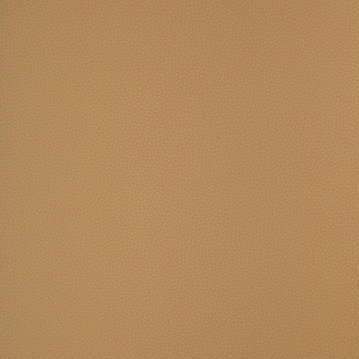 Bind fabric in bind-116 color - pattern number BIND.116.0 - by Kravet Design in the Faux Leather IV collection