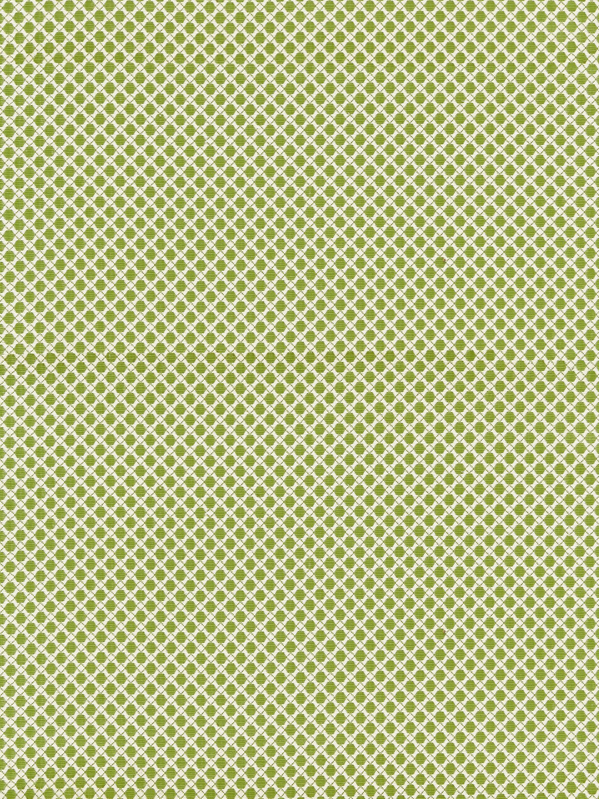 Bellaire Trellis fabric in leaf color - pattern number BK 0003K65121 - by Scalamandre in the Old World Weavers collection