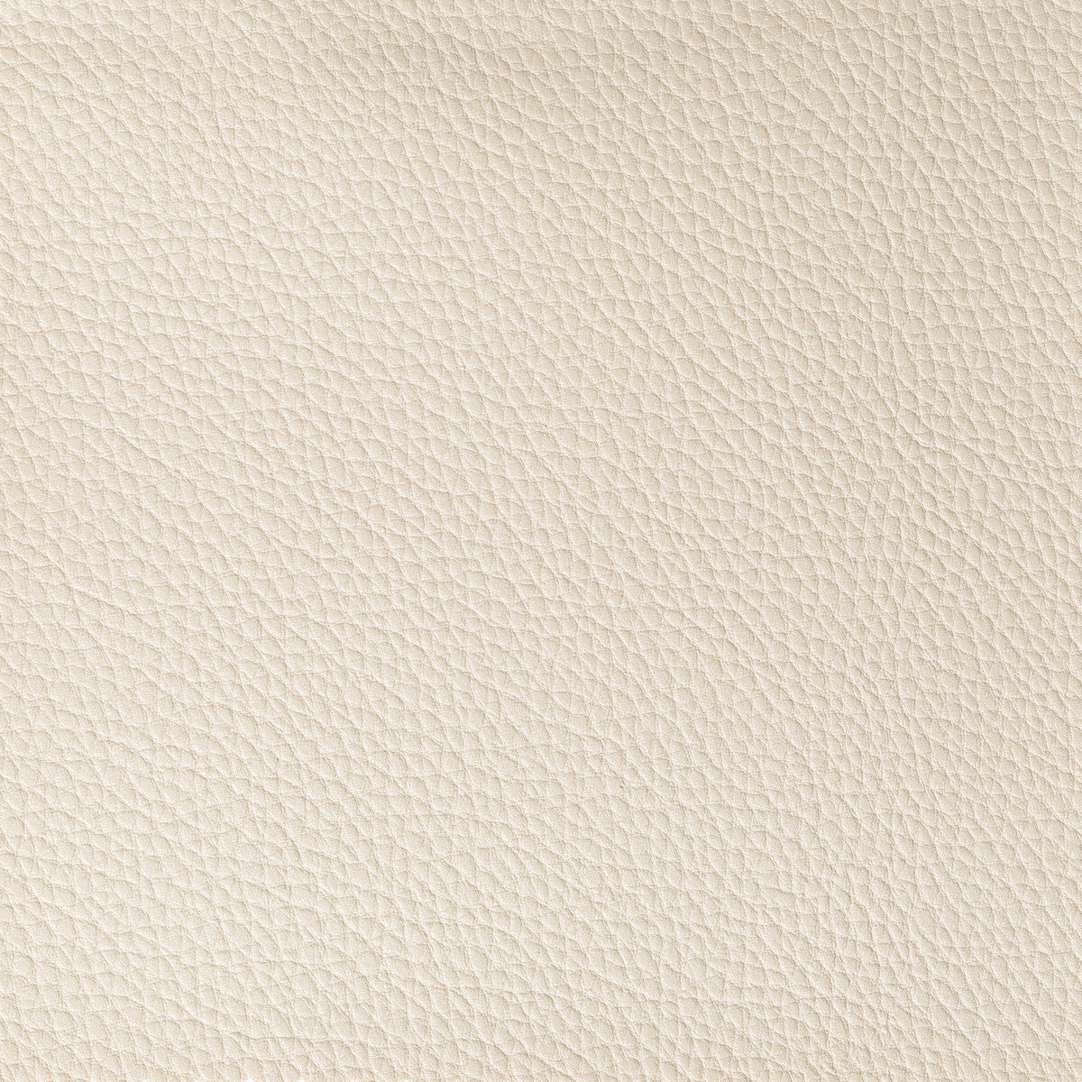 Boone fabric in conch color - pattern BOONE.116.0 - by Kravet Contract in the Foundations / Value collection