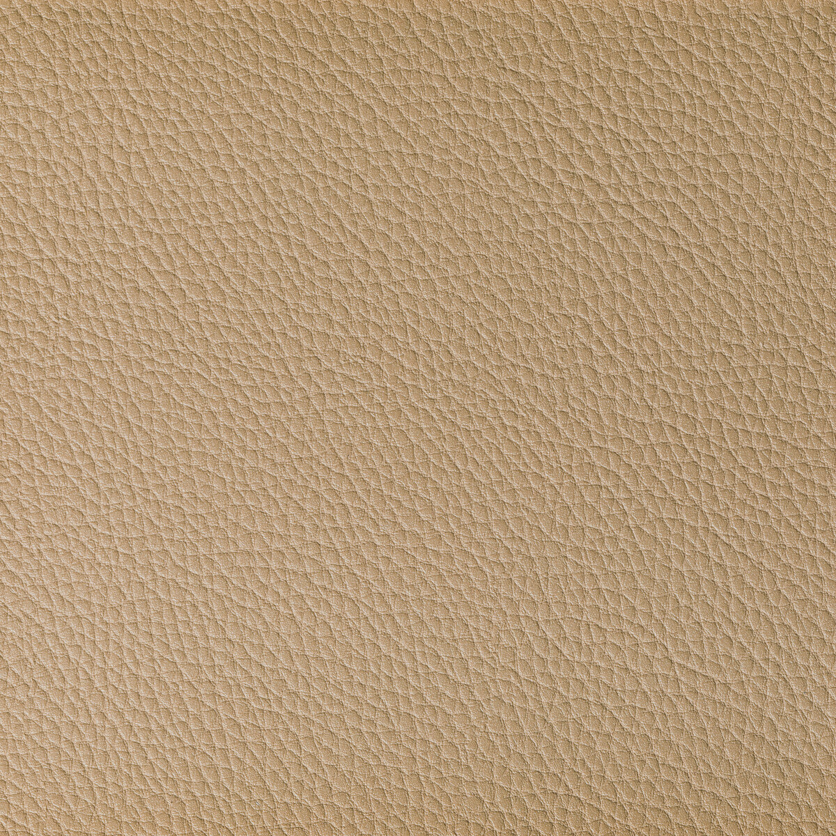 Boone fabric in dune color - pattern BOONE.16.0 - by Kravet Contract in the Foundations / Value collection
