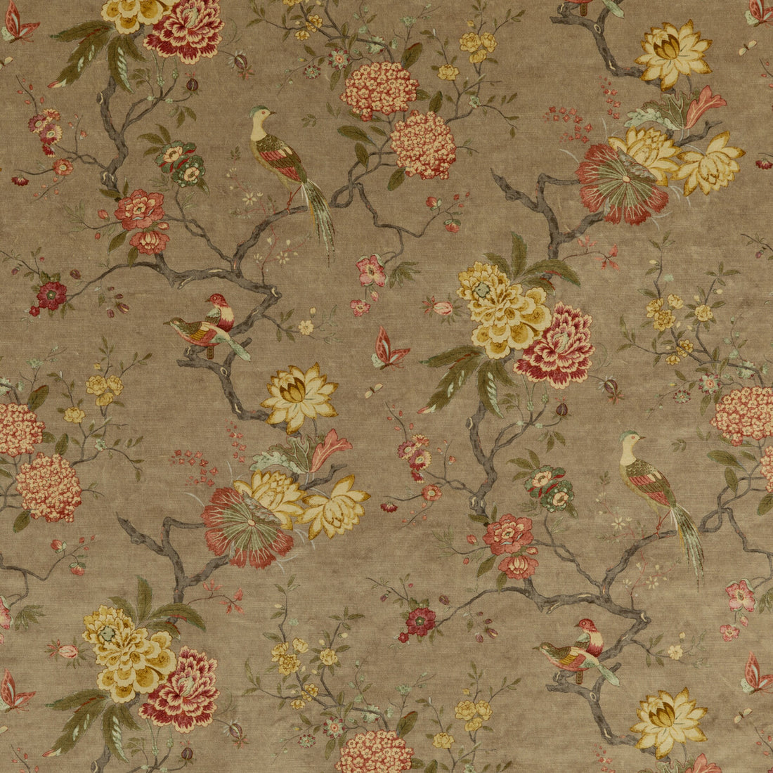 Oriental Bird Velvet fabric in mole color - pattern BP10818.1.0 - by G P &amp; J Baker in the Signature Velvets collection