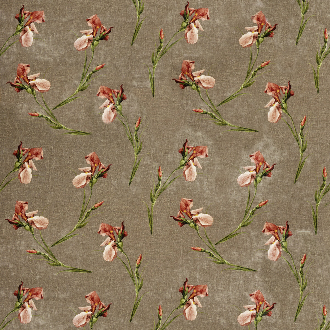 Baker Iris fabric in mole color - pattern BP10819.1.0 - by G P &amp; J Baker in the Signature Velvets collection