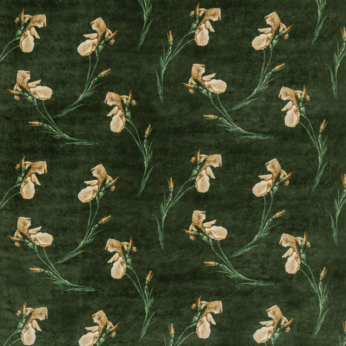 Baker Iris fabric in emerald color - pattern BP10819.2.0 - by G P &amp; J Baker in the Signature Velvets collection
