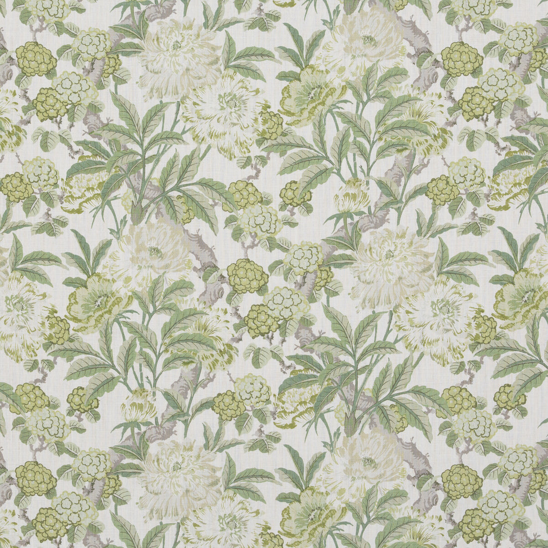 Summer Peony fabric in green color - pattern BP10950.3.0 - by G P &amp; J Baker in the Ashmore collection
