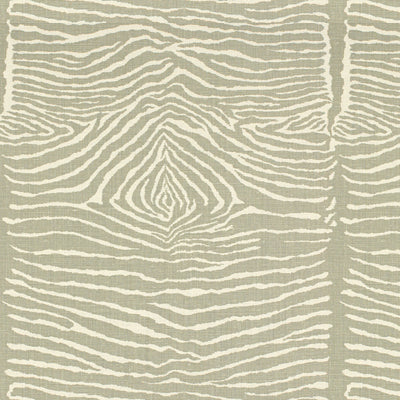 Le Zebre fabric in pewter color - pattern BR-79168.11.0 - by Brunschwig & Fils in the Hommage collection