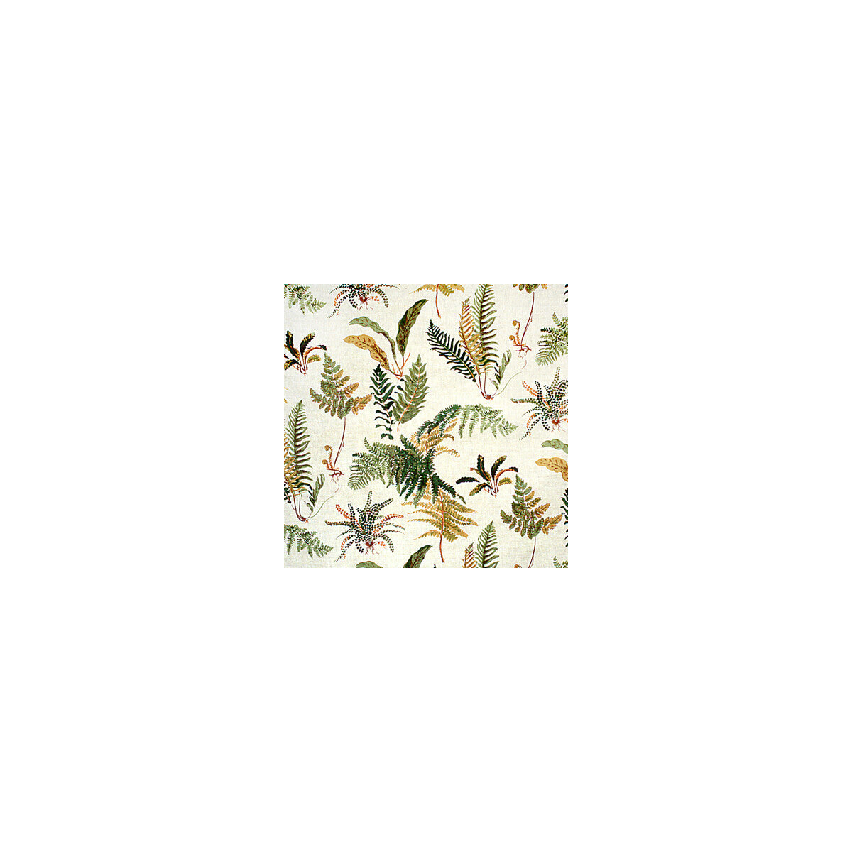 Les Fougeres fabric in ivory color - pattern BR-79305.008.0 - by Brunschwig & Fils