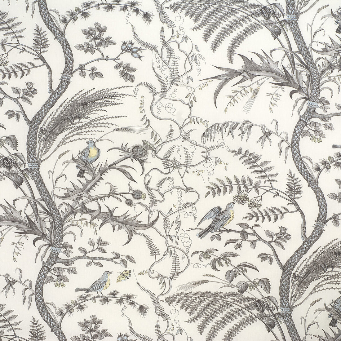 Bird And Thistle Cotton Print fabric in gray color - pattern BR-79431.11.0 - by Brunschwig &amp; Fils