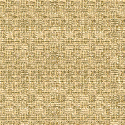 Reed Texture fabric in linen color - pattern BR-800043.052.0 - by Brunschwig & Fils
