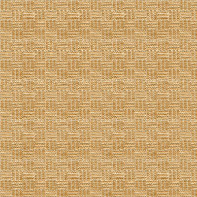 Reed Texture fabric in biscuit color - pattern BR-800043.063.0 - by Brunschwig & Fils
