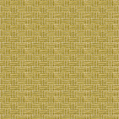 Reed Texture fabric in lichen color - pattern BR-800043.405.0 - by Brunschwig & Fils