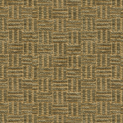 Reed Texture fabric in herb color - pattern BR-800043.447.0 - by Brunschwig & Fils