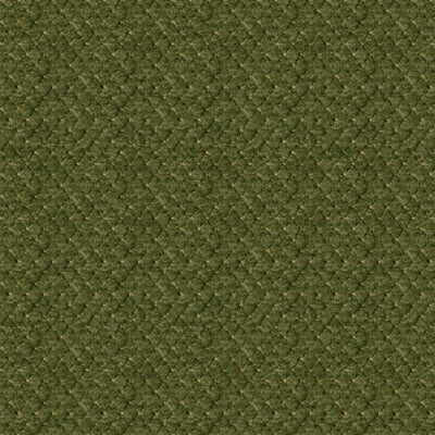 Solitaire Texture fabric in avocado color - pattern BR-800045.434.0 - by Brunschwig & Fils
