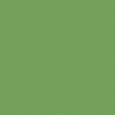 Satin La Tour fabric in vert color - pattern BR-81079.Y.0 - by Brunschwig & Fils