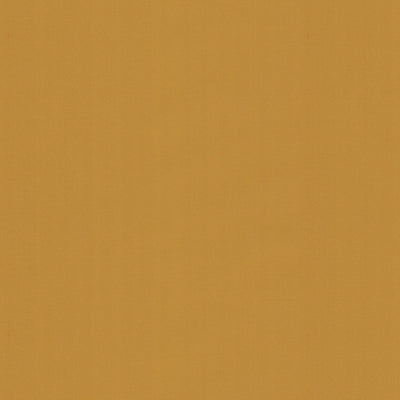 Ninon Taffetas fabric in blonde color - pattern BR-81081.307.0 - by Brunschwig & Fils