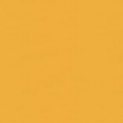 Ninon Taffetas fabric in sunburst color - pattern BR-81081.346.0 - by Brunschwig & Fils