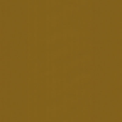 Ninon Taffetas fabric in nile color - pattern BR-81081.445.0 - by Brunschwig & Fils