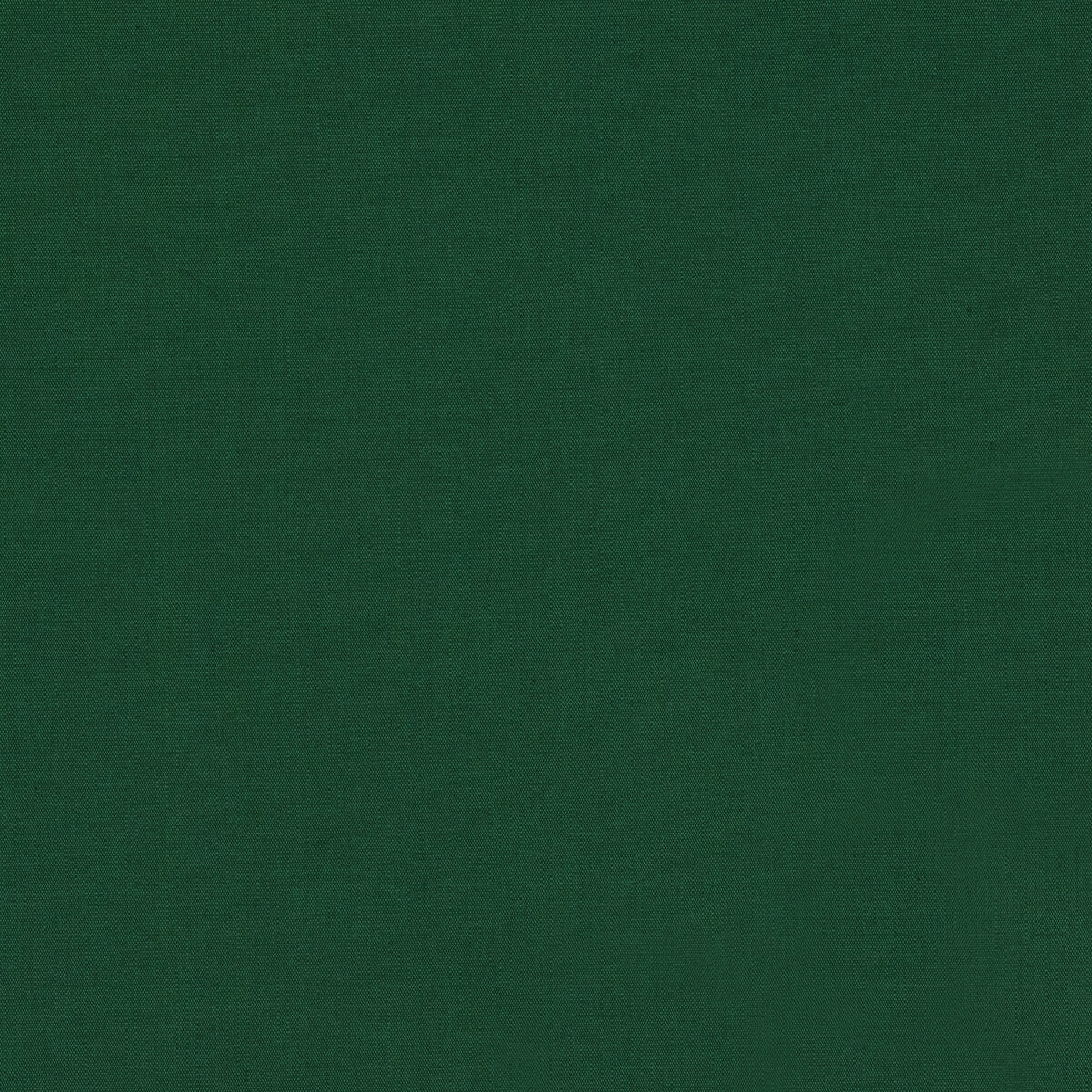 Ninon Taffetas fabric in emerald color - pattern BR-81081.53.0 - by Brunschwig & Fils