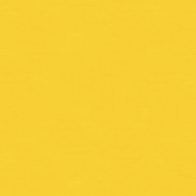 Ninon Taffetas fabric in jaune color - pattern BR-81081.J.0 - by Brunschwig & Fils