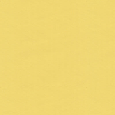 Ninon Taffetas fabric in jaune color - pattern BR-81081.JJI.0 - by Brunschwig & Fils