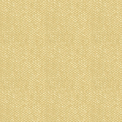 Yorke Chenille fabric in sand color - pattern BR-81782.057.0 - by Brunschwig & Fils