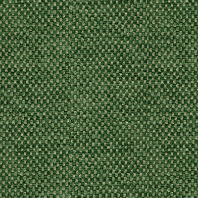 Yorke Chenille fabric in forest color - pattern BR-81782.488.0 - by Brunschwig & Fils