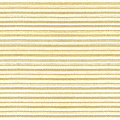 Bosporus Ottoman Texture fabric in cream color - pattern BR-83806.015.0 - by Brunschwig & Fils