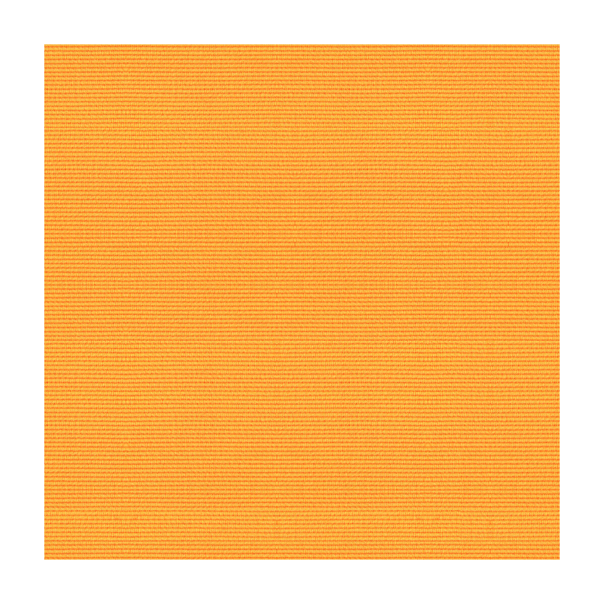 Bosporus Ottoman Texture fabric in pollen color - pattern BR-83806.342.0 - by Brunschwig & Fils