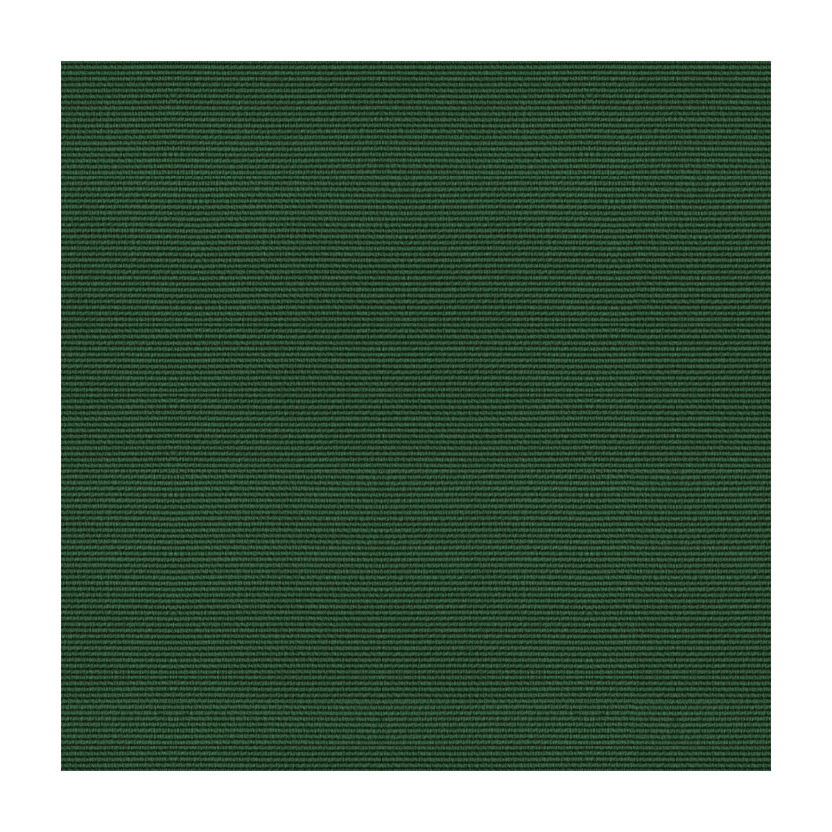 Bosporus Ottoman Texture fabric in forest color - pattern BR-83806.488.0 - by Brunschwig & Fils