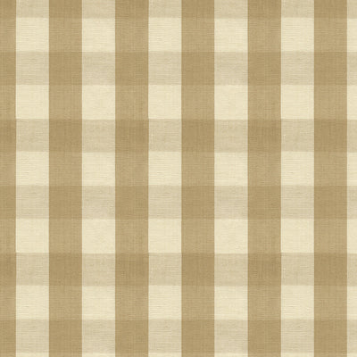 Carsten Check fabric in tan color - pattern BR-89149.16.0 - by Brunschwig &amp; Fils in the Tresors De Jouy collection