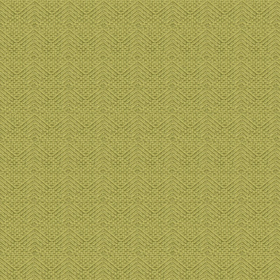 Clarise Woven Texture fabric in lichen color - pattern BR-89213.405.0 - by Brunschwig & Fils