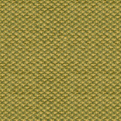 Spencer Silk Chenille fabric in leaf color - pattern BR-89474.432.0 - by Brunschwig & Fils
