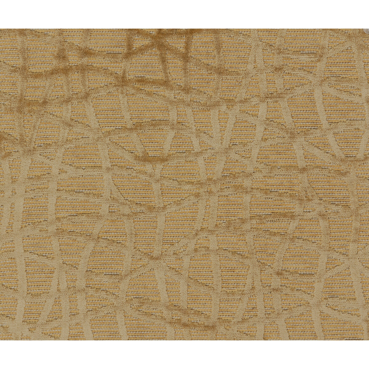 Ashanti Woven fabric in raffia color - pattern BR-89556.025.0 - by Brunschwig & Fils