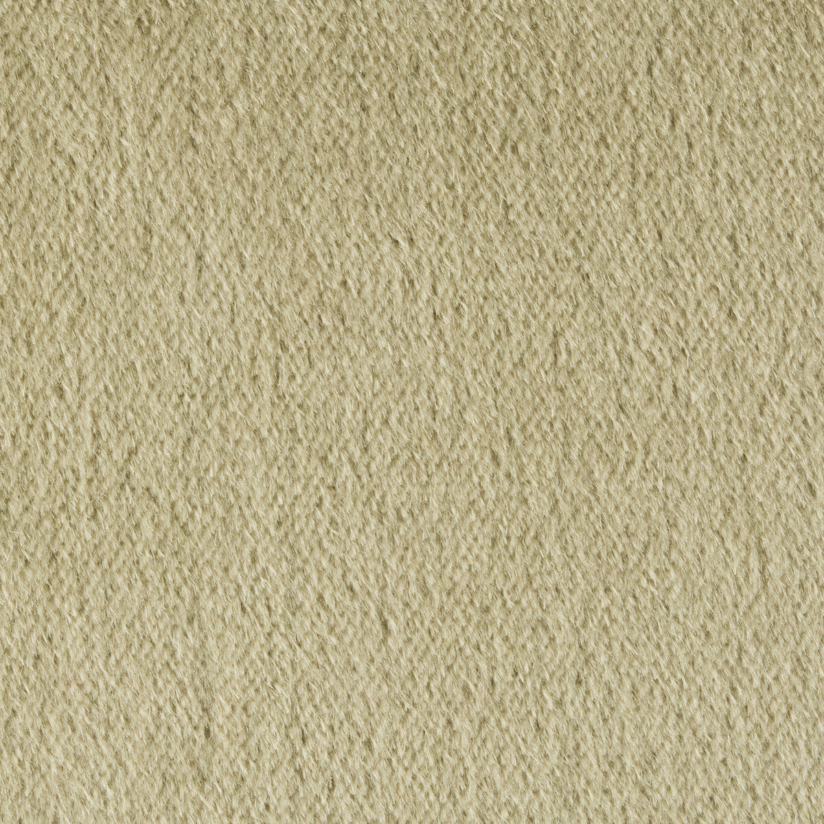 Autun Mohair Velvet fabric in eucalyptus color - pattern BR-89778.311.0 - by Brunschwig & Fils