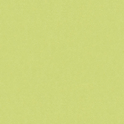 Autun Mohair Velvet fabric in celery color - pattern BR-89778.404.0 - by Brunschwig &amp; Fils