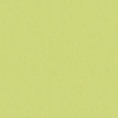 Autun Mohair Velvet fabric in celery color - pattern BR-89778.404.0 - by Brunschwig & Fils