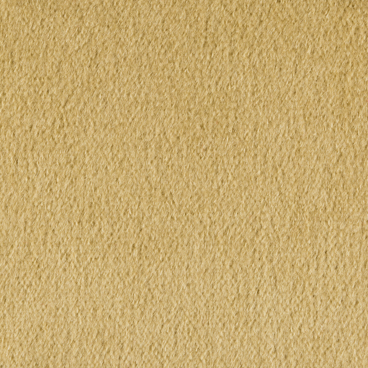 Autun Mohair Velvet fabric in lichen color - pattern BR-89778.405.0 - by Brunschwig & Fils