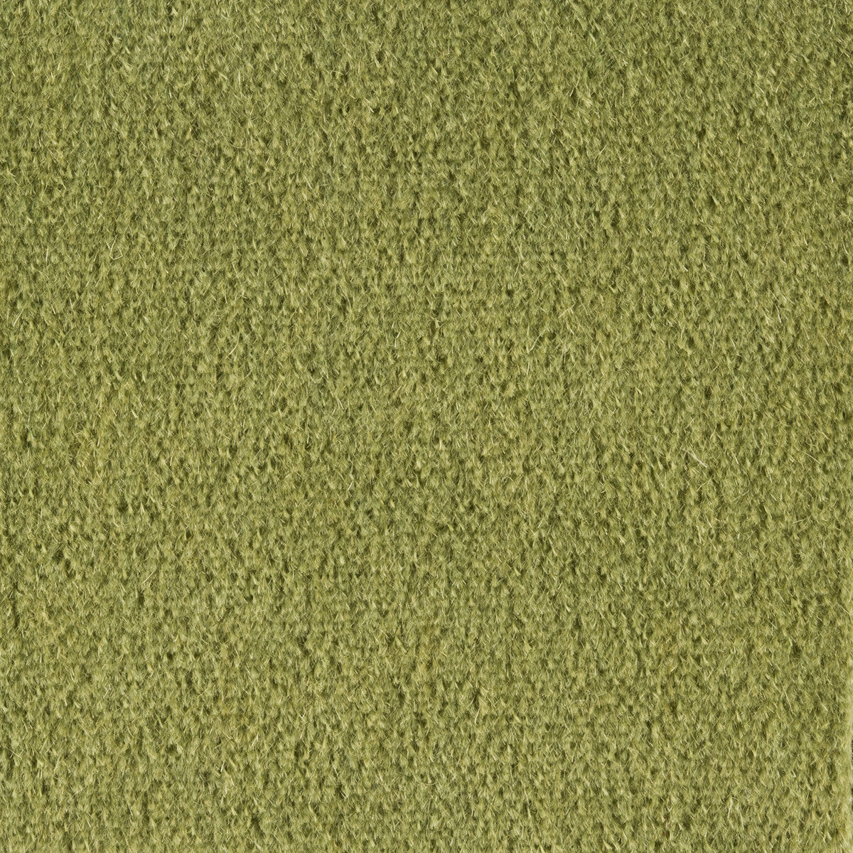 Autun Mohair Velvet fabric in leaf color - pattern BR-89778.432.0 - by Brunschwig & Fils