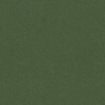 Autun Mohair Velvet fabric in bayleaf color - pattern BR-89778.456.0 - by Brunschwig & Fils