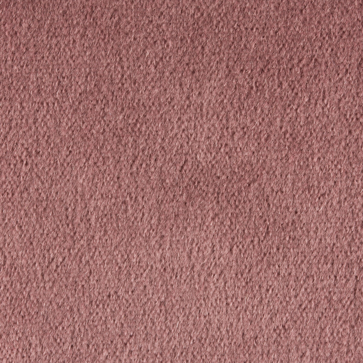 Autun Mohair Velvet fabric in heather color - pattern BR-89778.701.0 - by Brunschwig & Fils