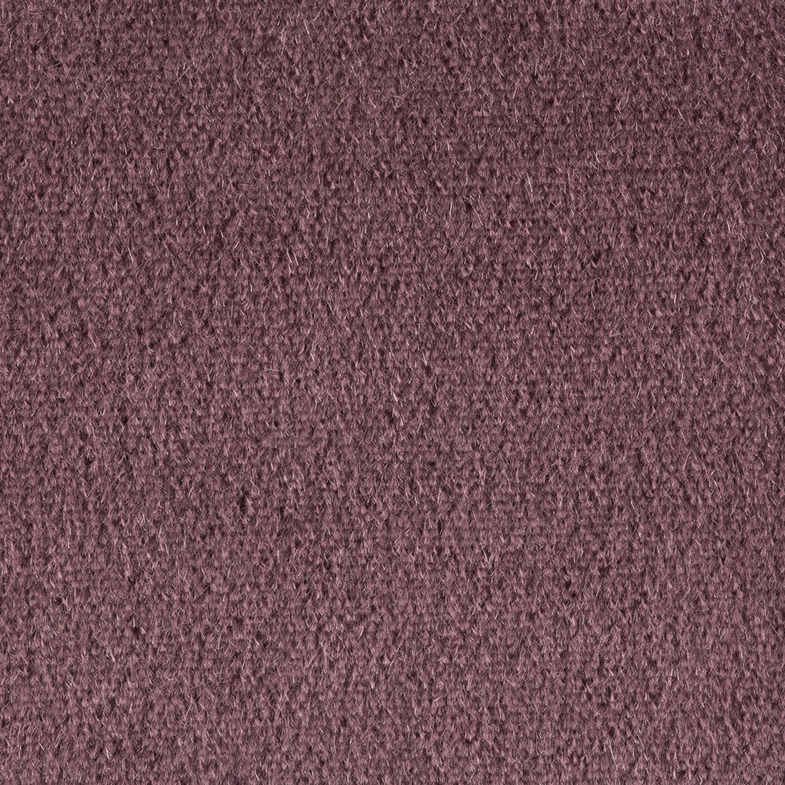 Autun Mohair Velvet fabric in prune color - pattern BR-89778.768.0 - by Brunschwig &amp; Fils