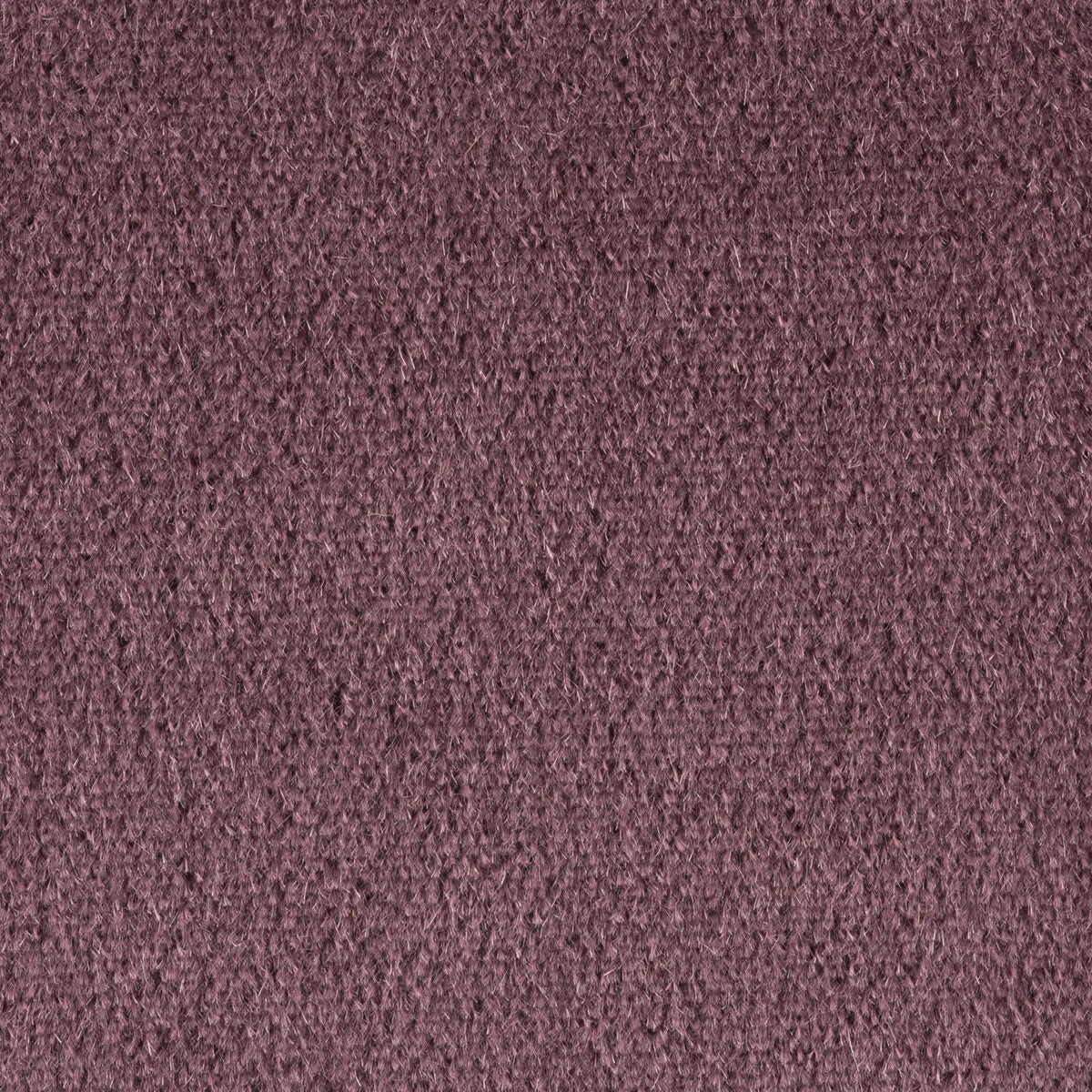 Autun Mohair Velvet fabric in prune color - pattern BR-89778.768.0 - by Brunschwig & Fils