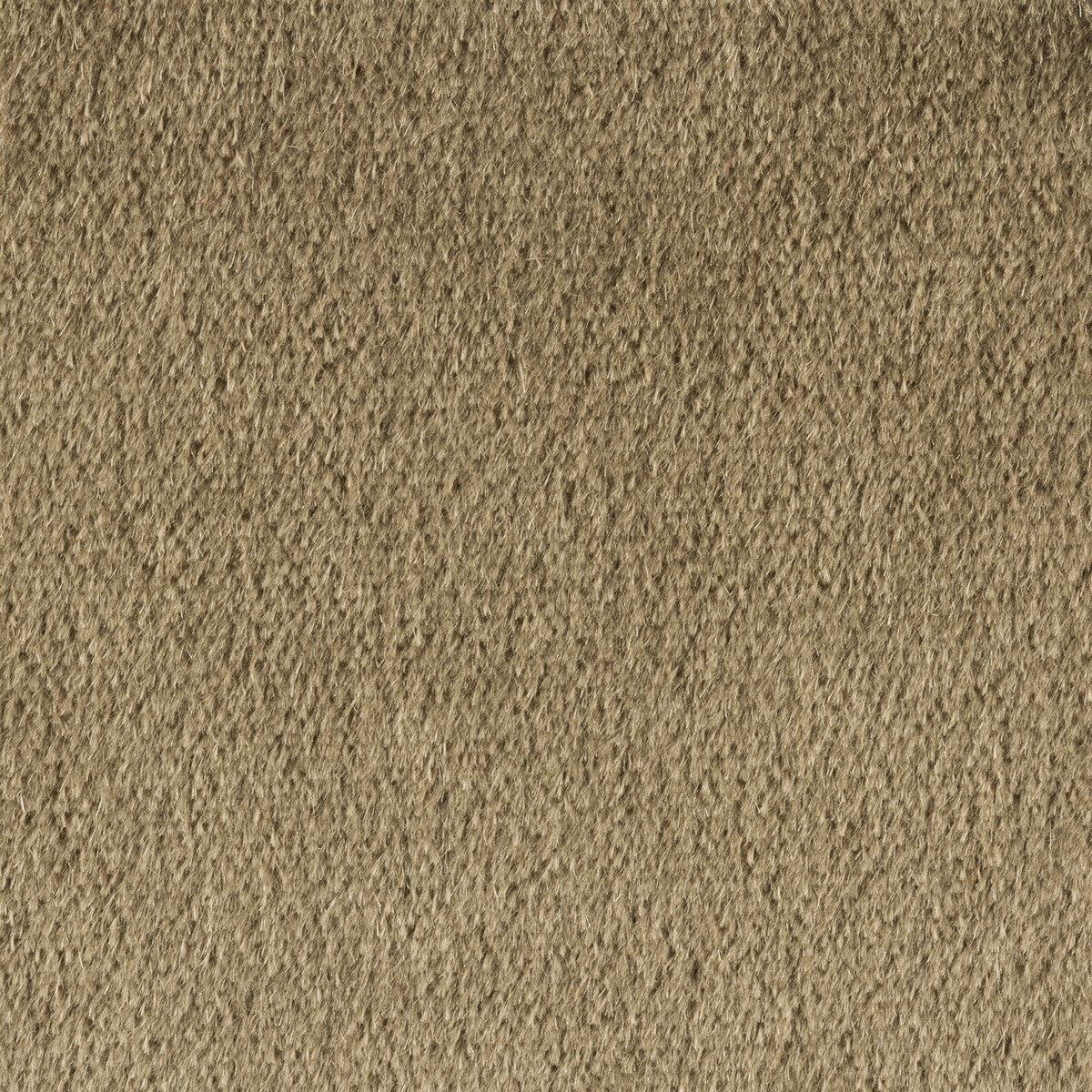 Autun Mohair Velvet fabric in tobacco color - pattern BR-89778.881.0 - by Brunschwig & Fils