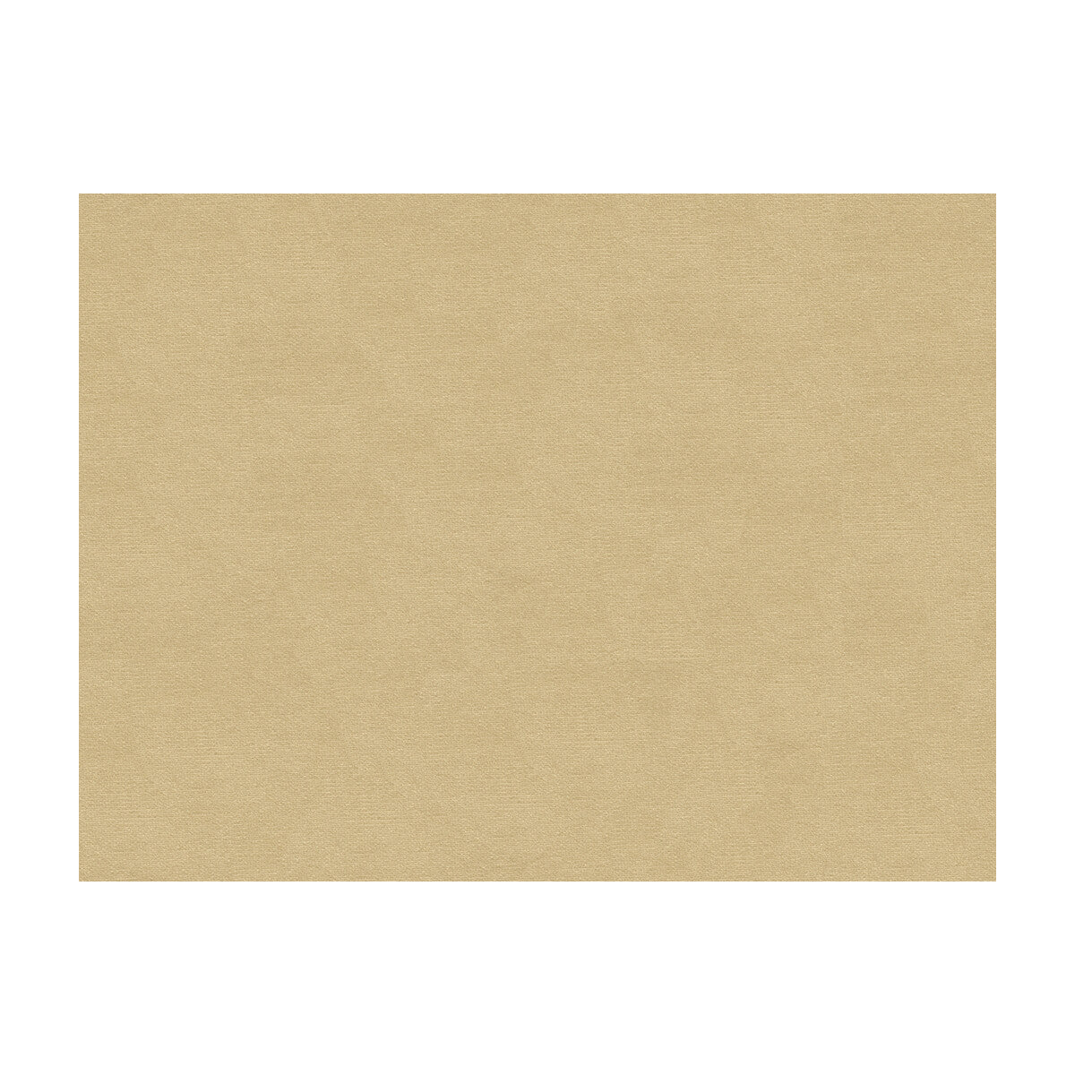 Lubeck Cotton Velvet fabric in oyster color - pattern BR-89779.005.0 - by Brunschwig & Fils