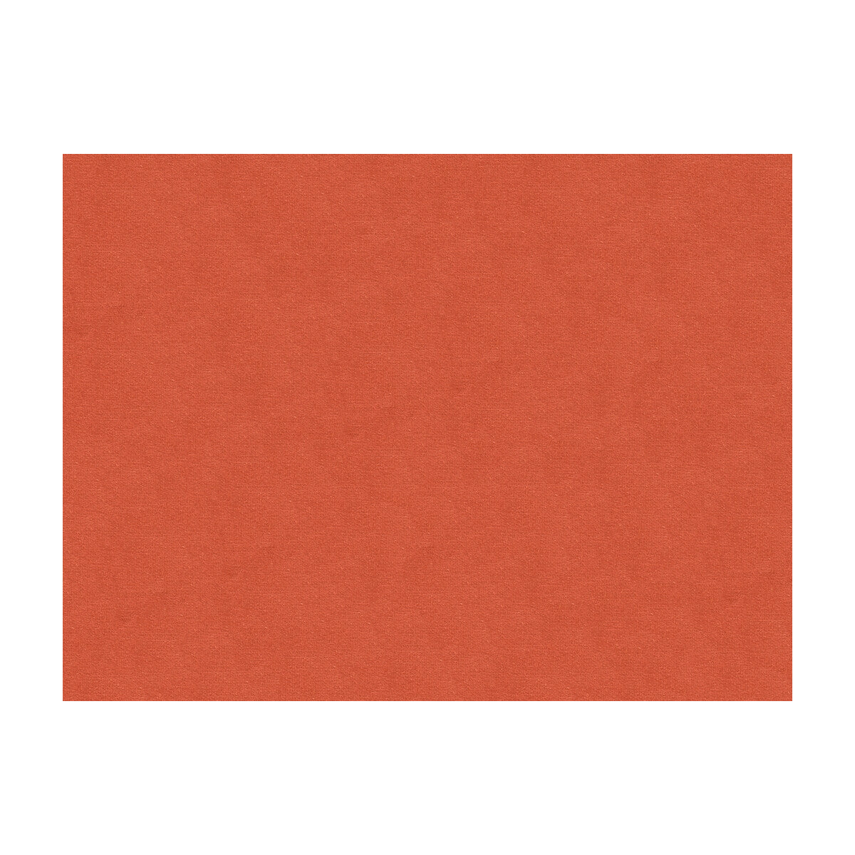 Lubeck Cotton Velvet fabric in shell color - pattern BR-89779.103.0 - by Brunschwig & Fils